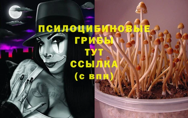jwh Алексин