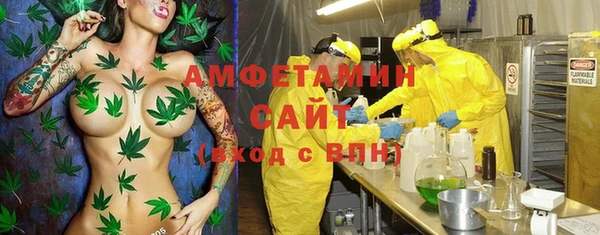 дмт Алзамай