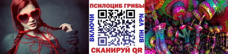 Псилоцибиновые грибы Psilocybine cubensis  Бахчисарай 